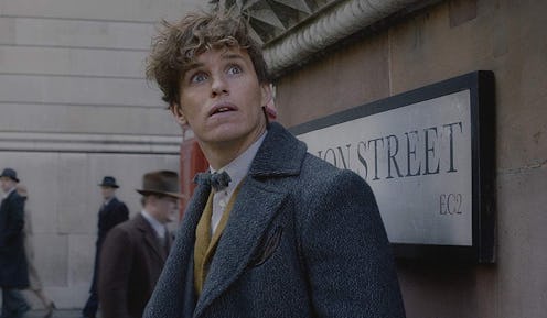 'Fantastic Beasts & Where To Find Them'