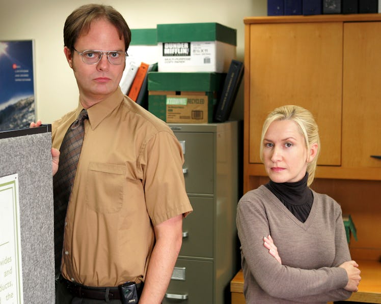 Rainn Wilson (L) as Dwight Schrute and Angela Kinsey as Angela Martin is a great affordable Hallowee...