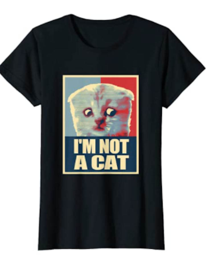 These Halloween Zoom costume ideas include the infamous lawyer kitten.