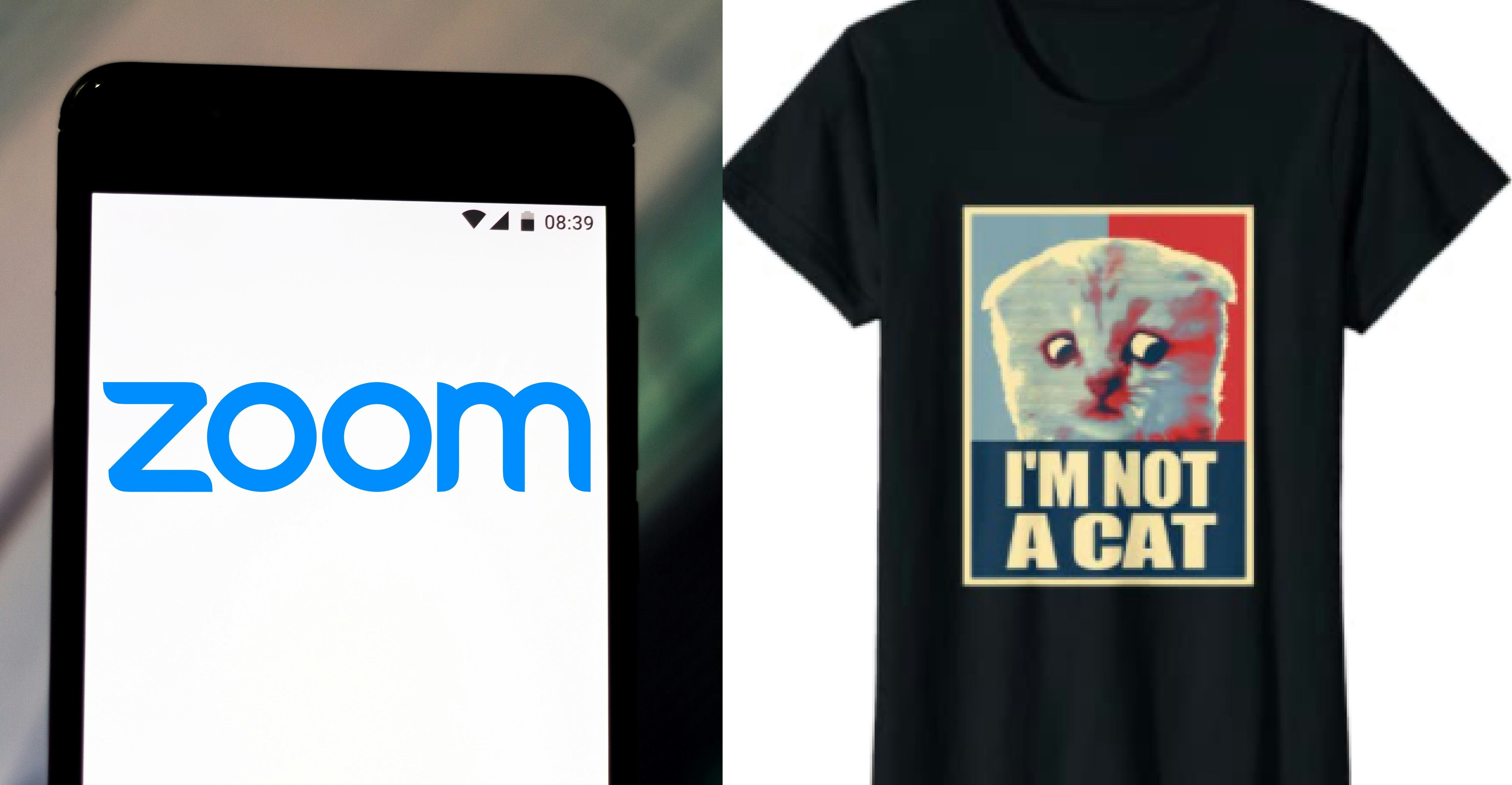 8 Zoom Halloween Costume Ideas For LastMinute Looks