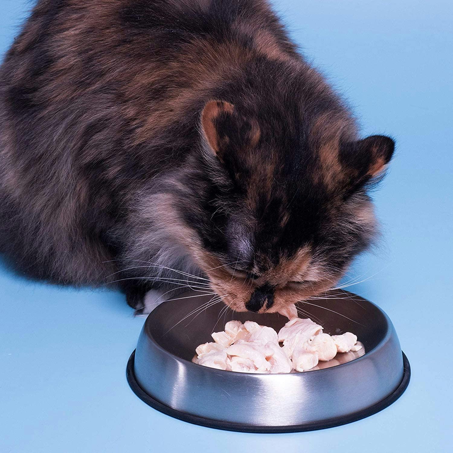 The 5 Best Cat Food Bowls
