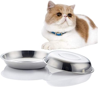 Vention Stainless Steel Whisker-Relief Cat Food Bowl (Set Of 2)