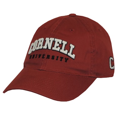 Shane wears a Cornell University hat on 'The White Lotus.'