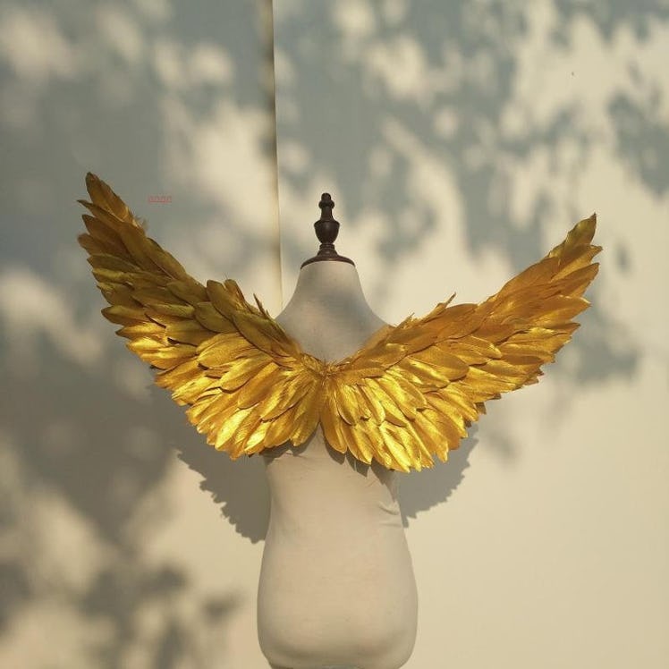 Golden Snitch Wings for Harry Potter Halloween Costume
