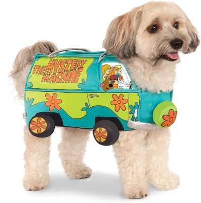 Dog dressed as The Mystery Machine from "Scooby Doo"