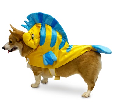Disney's September 2021 Halloween sale includes costumes for you and your pet.