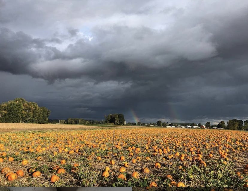 clouds and rainbows over the Pumpkin Patch in Sauvie Island, Oregon