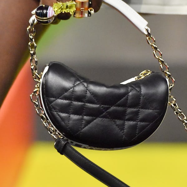 A model (bag detail) walks the runway during the Dior Womenswear Spring/Summer 2022 show as part of ...