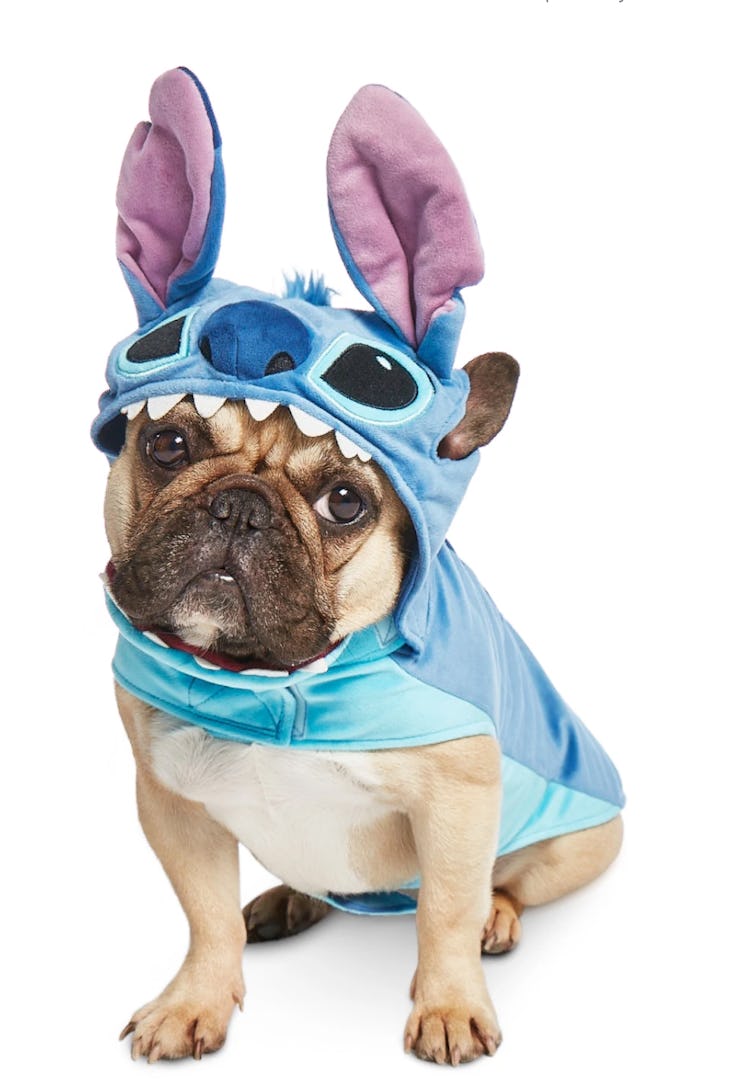 Disney's September 2021 Halloween sale includes costumes for you and your pet.