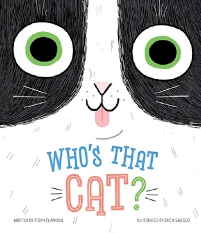 'Who's That Cat?" by Steph Clarkson, illustrated by Erica Salcedo