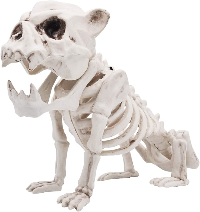 Halloween decoration; dog skeleton