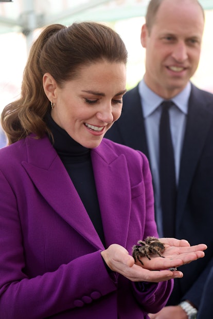 Prince William, Duke of Cambridge observes as Catherine, Duchess of Cambridge handles a tarantula ca...