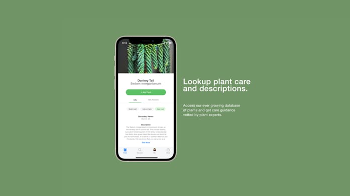 A screenshot of the UX of PlantLife