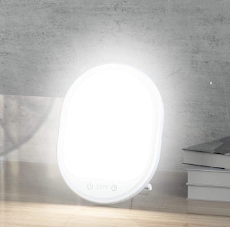 Erligpowht Light Therapy Lamp