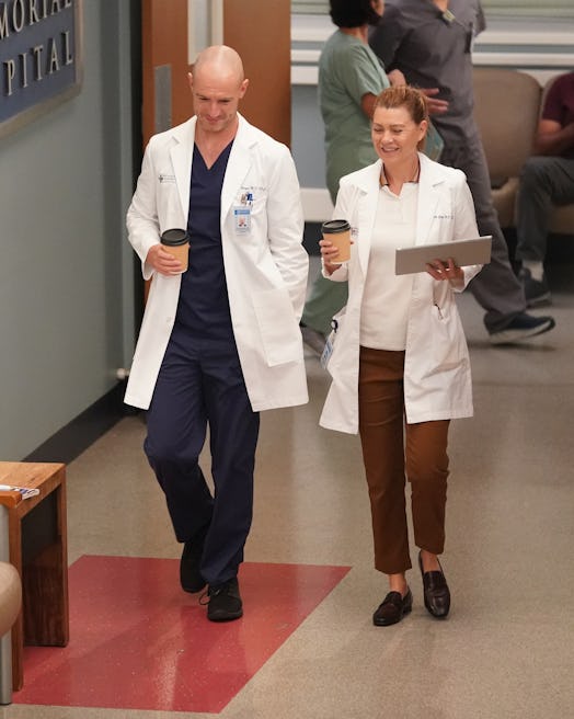Among the 'Grey's Anatomy' Season 18 theories is a possible McWidow romance. Photo via ABC