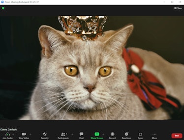 This cute Halloween Zoom background featured a grey tabby cat with a royal costume.