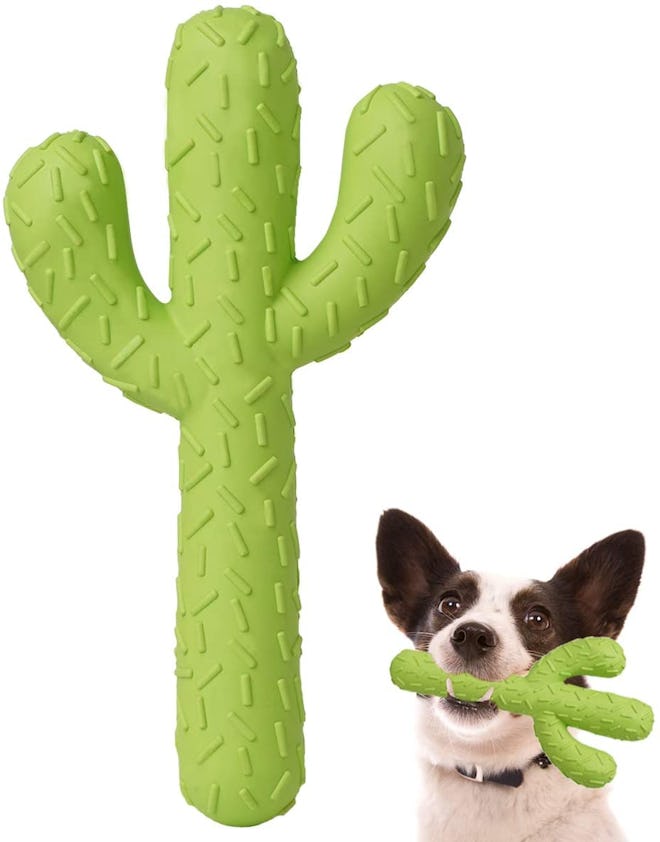 MewaJump Cactus Rubber Dog Chew Toy