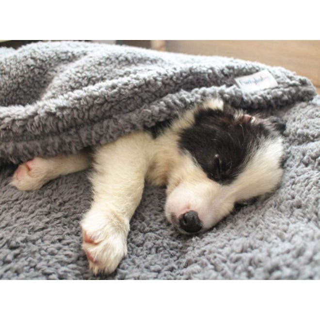 furrybaby Fluffy Fleece Dog Blanket