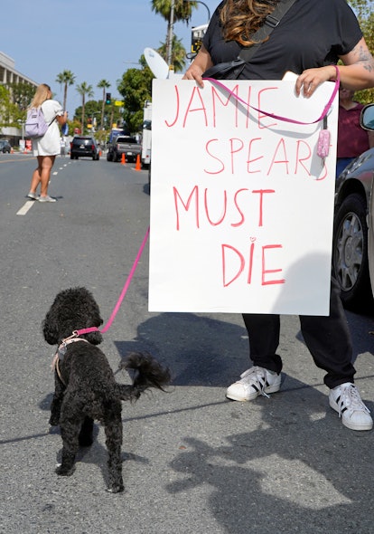 A fan with a banner that says "Jamie Spears Must Die"