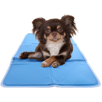 Chillz Cooling Mat For Dogs