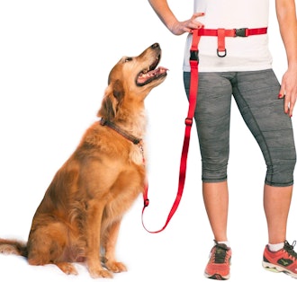 The Buddy System Adjustable Hands Free Dog Leash