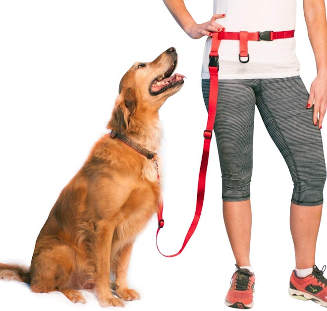 The Buddy System Adjustable Hands Free Dog Leash