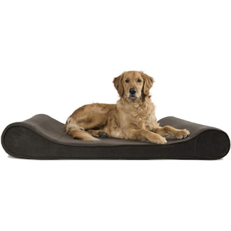 Furhaven Orthopedic, Cooling Gel, and Memory Foam Pet Bed