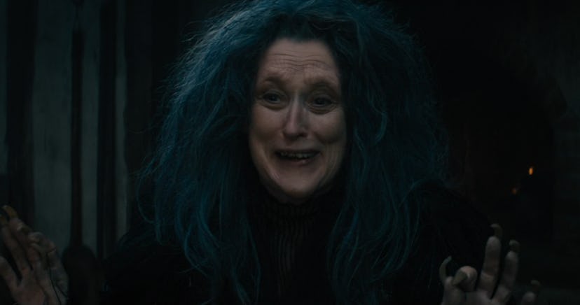 Meryl Streep played the Witch in Into the Woods.