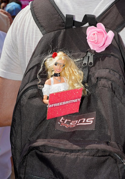 A fan's backpack with a Britney Spears figurine peaking out, a #FreeBritney sign and a pink rose.
