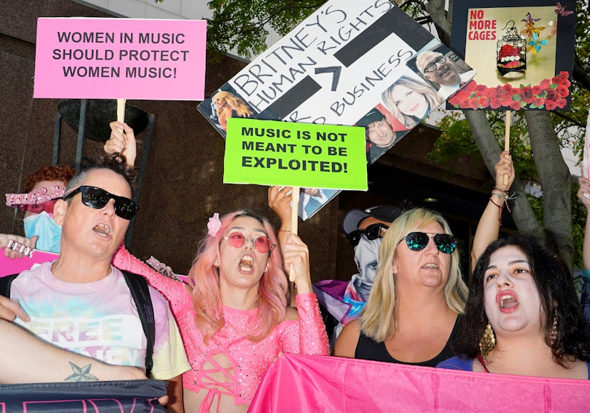 Fans rallying in support of Britney Spears with banners and strong messages to lawmakers