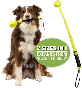 Hyper Pet Dog Ball Launcher