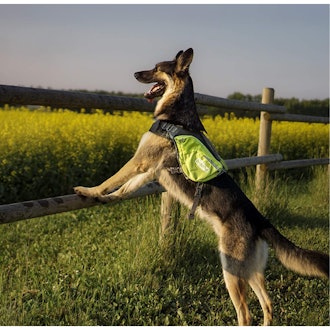 Outward Hound Lightweight Dog Backpack