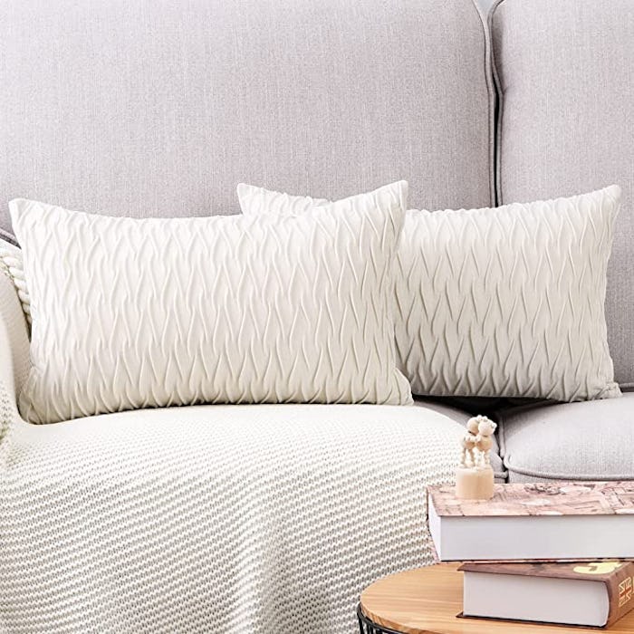 MADIZZ Super Soft Velvet Decorative Throw Pillow Covers (2-Pack)