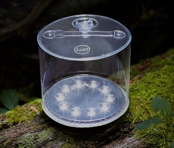 Mpowerd lantern online