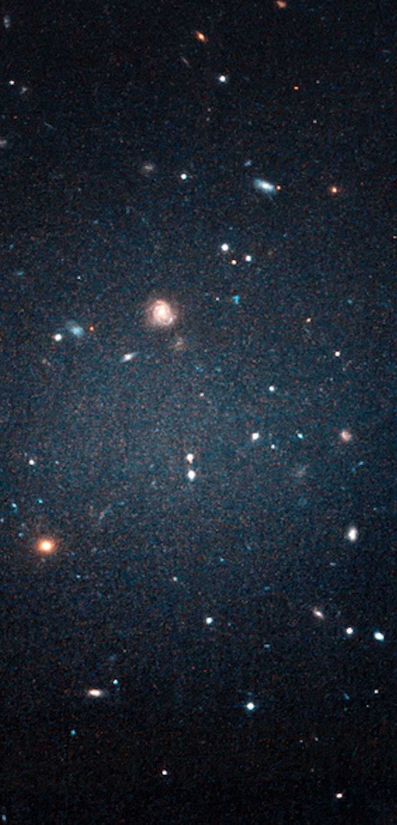 An image of a ghostly ultradiffuse galaxy