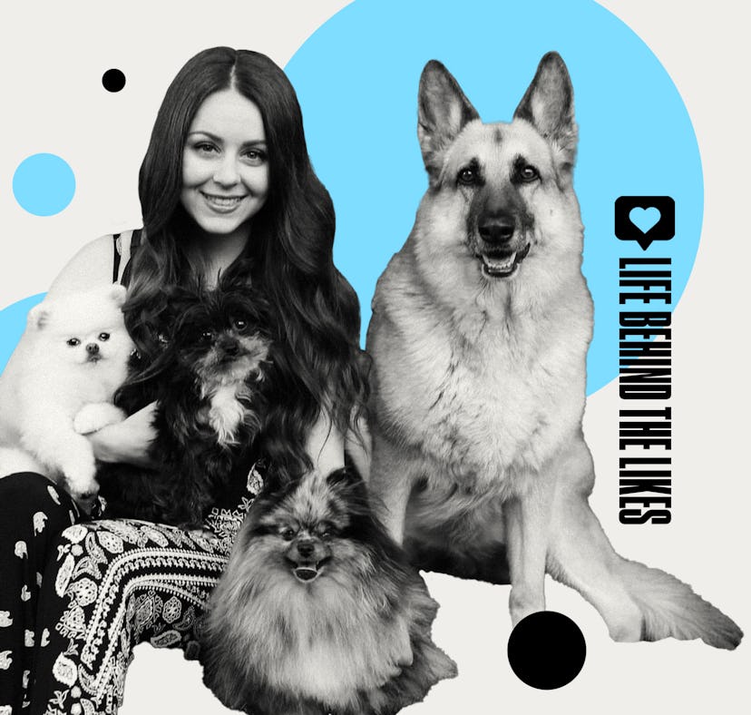 Vanessa de Prophetis' Girl With The Dogs TikTok account is filled with cute grooming videos.