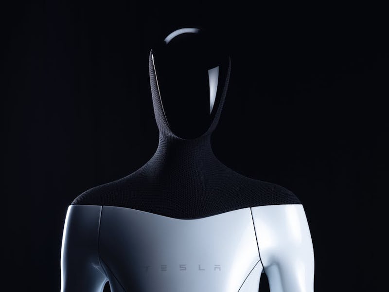 Tesla aims to show off a prototype humanoid robot as soon as next year.