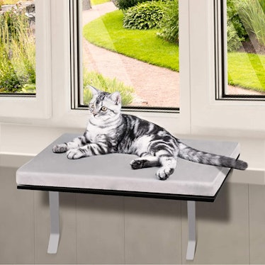 Topmart Pet Cat Window Seat