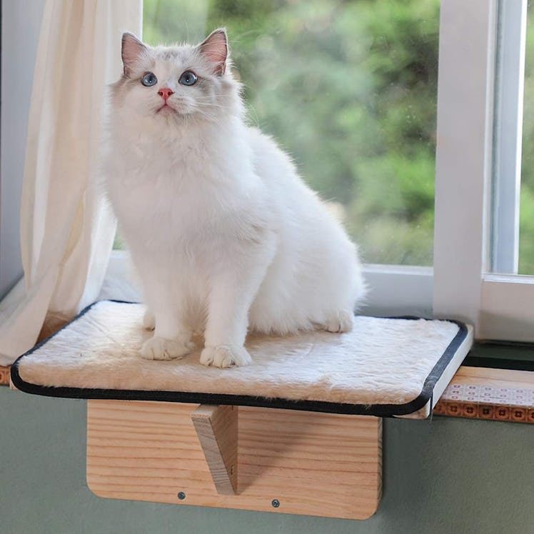 Petsfit Cat Window Perch