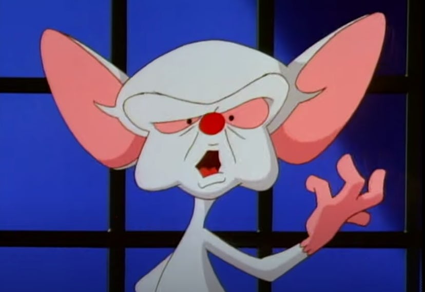 Pinky and the Brain is streaming on Hulu.