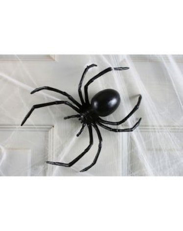 6 in. Black Widow Spider