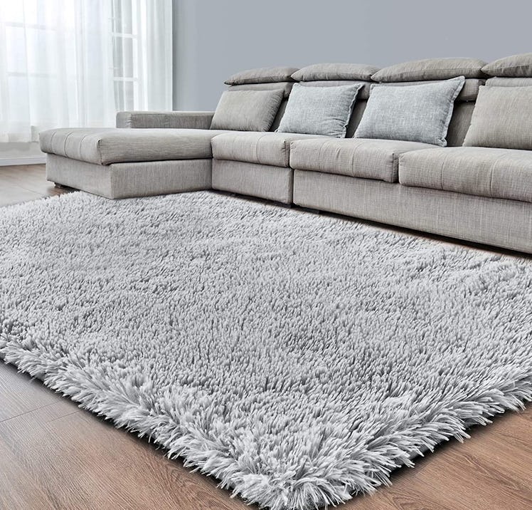 RUGTUDER Soft Area Rug