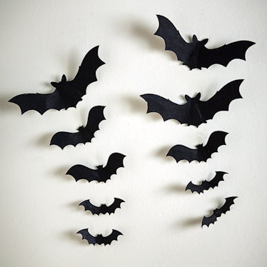 Set of 10 Bats