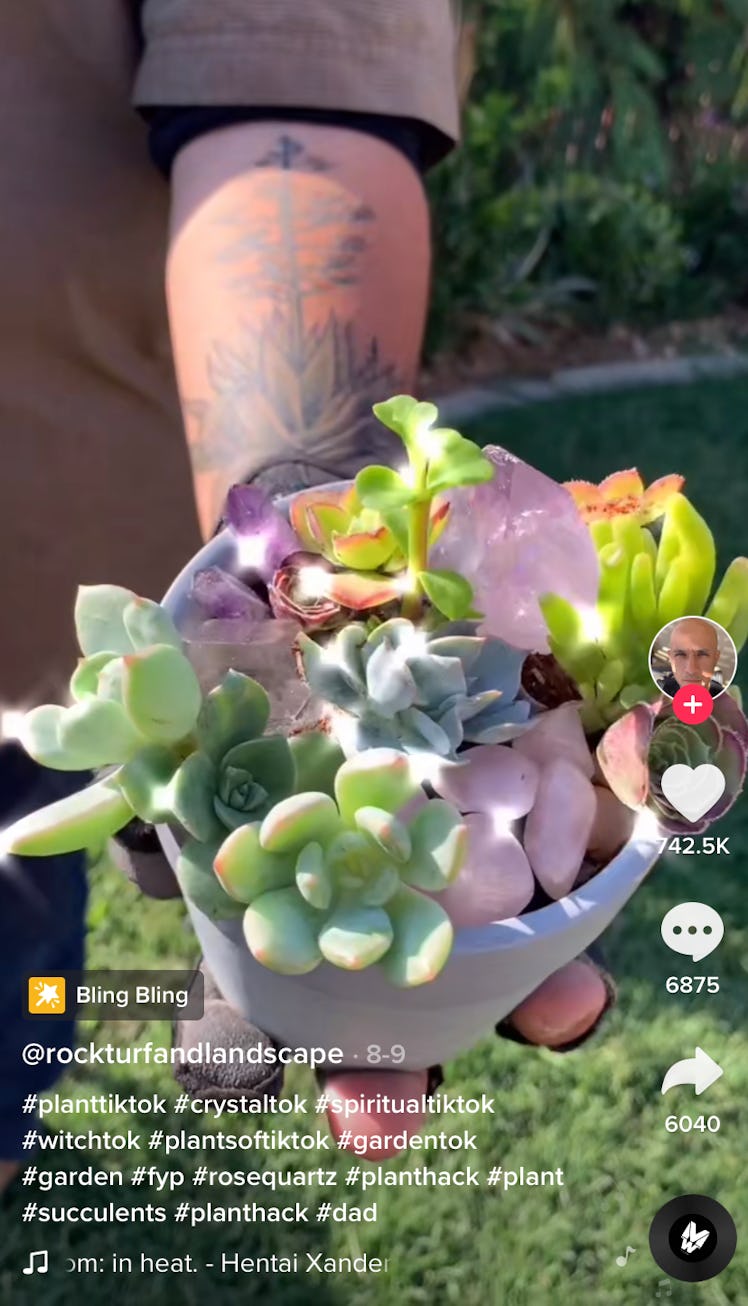 A man holds out a DIY #WitchTok craft from TikTok that is a crystal succulent plant. 