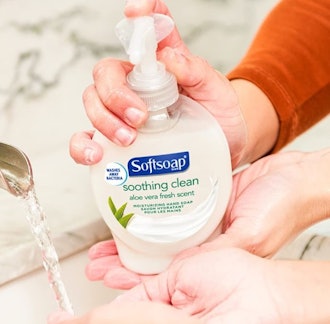 Softsoap Moisturizing Liquid Hand Soap (6 Pack)