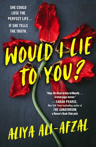 'Would I Lie to You?' by Aliya Ali-Afzal
