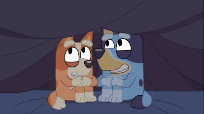Bingo and Bluey hide under a bedsheet, giggling