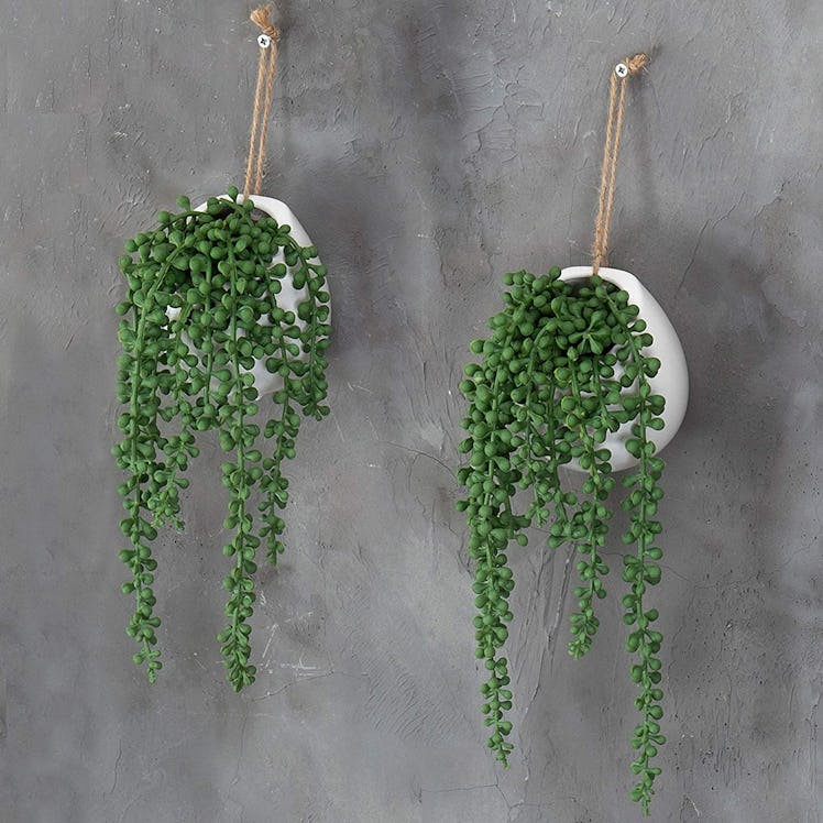 MyGift Artificial String of Pearls Plants (2-Pack)