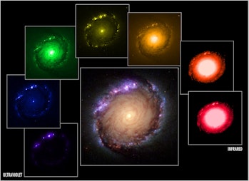 Несколько фотографий одной и той же галактики в разных цветах
