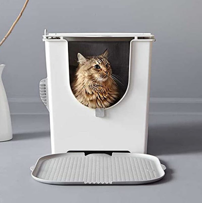Anti smell cat litter box Clearance